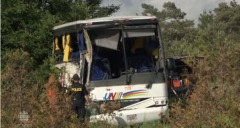 中國人赴美游車禍頻發背後竟暗藏這樣的玄機(組圖)