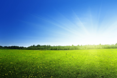 人为什么会“视而不见”(图)