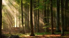 清朝两则短暂轮回又重返原本肉身的奇闻(图)