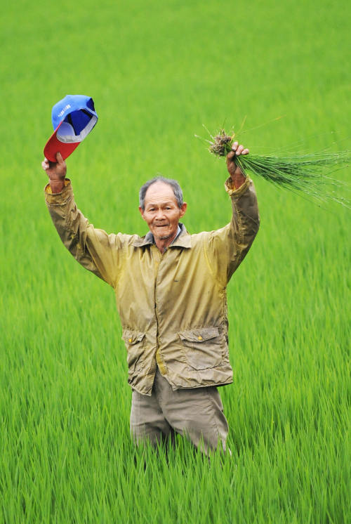 在台湾做农民竟可以优雅矜持怡然自傲！