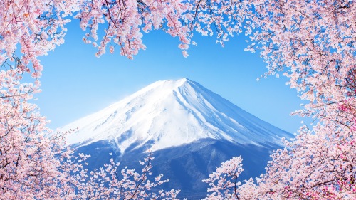日本人将富士山誉为“圣岳”，同时也是日本第一高峰。