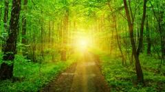 科学能发现和证实灵魂吗(图)