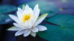 人有病痛就是陰命在受刑(圖)
