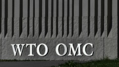美中在WTO爭執白熱化世貿面臨生存危機(圖)