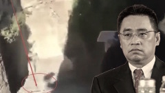 海航董事長法國拍照摔死疑點重重(組圖)