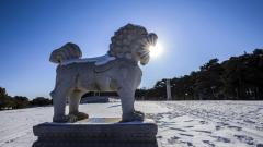 唐代袁天罡看相无数生死了若指掌(图)