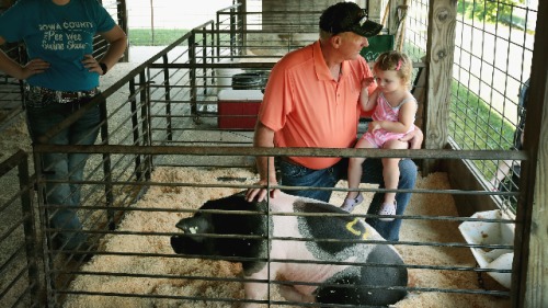 爱荷华州农民塞（Steve Seye）和他的孙女（图片来源：Getty Images）