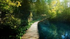 死后会发生什么每个人的濒死体验并不相同(图)