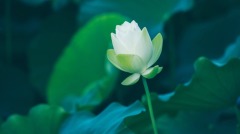 心越簡單人越快樂(圖)