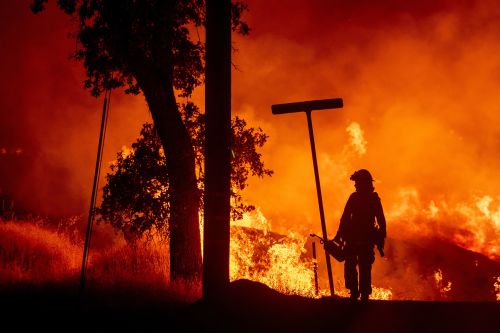 加州突发多起大火州长宣布进入紧急状态
