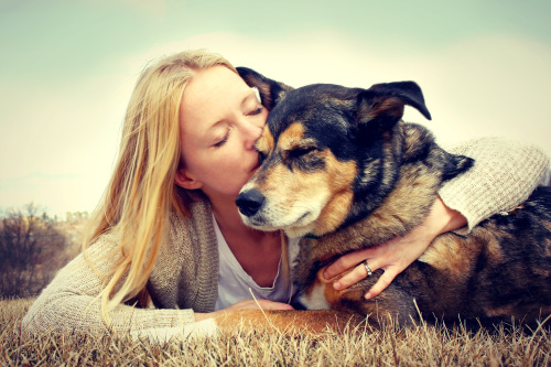 狗是人类最好也是最忠心的朋友。（图片来源：Adobe stock）