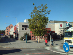 一夜之间改变瑞典人的惊险任务(图)