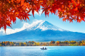 富士山四季之美超乎想像(視頻)