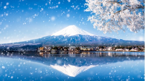 日本政府為能夠讓富士山成為合法的旅遊景點，每年都會向淺間神社簽訂「租賃契約」，並支付天價租金。