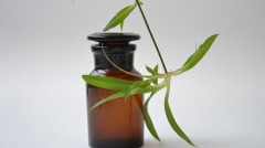 花露水的妙用(圖)