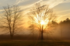 九門口的真實故事「好漢摔碗酒」幽香醇厚(圖)