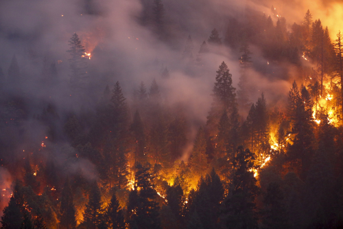 加州官員：或到9月才能遏制史上最大山火