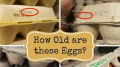 蛋包裝上的數字竟不是有效日而是有用的訊息(組圖)