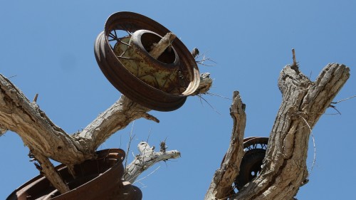 开发铁路遗弃的废钢，被野生鸟类带到了树枝上，形成一道奇境