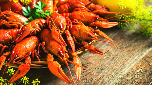 小龙虾的虾头部位含有大量重金属和寄生虫，不宜食用。
