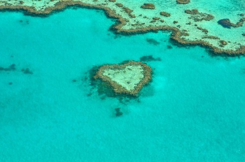澳大利亚 大堡礁