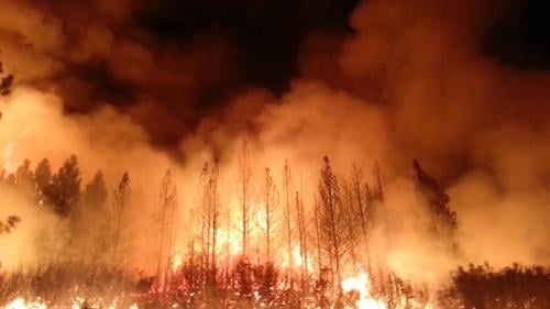 美父子露營慘被森林大火包圍!驚險逃火海圖/視頻