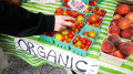 华人叹：比起澳洲中国的有机食品像骗局(图)