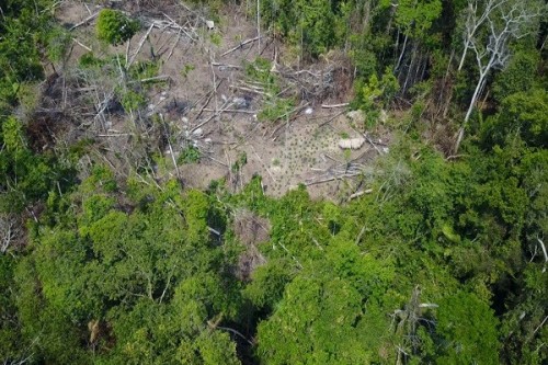 空拍亚马逊雨林神秘原始部落曝光