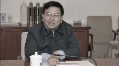 假疫苗案后台竟是吴官正副部级儿子突遭免职(图)