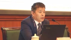 知情人起底胡鞍鋼「小學畢業特能吹」(圖)
