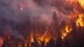加州大火创历史纪录出动1.4万消防员加军机(视频)