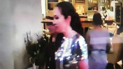 海航王健最后晚餐神秘法国女人露面(组图)