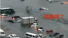 狂射100枚火箭彈造雨瀋陽小伙崩潰「我車呢」(視頻組圖)