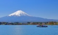 春天最美富士山(2)(组图)