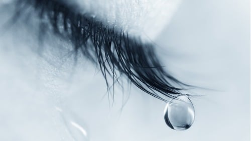在微观世界里，每一颗眼泪，都会将我们内心的情感表达得淋漓尽致
