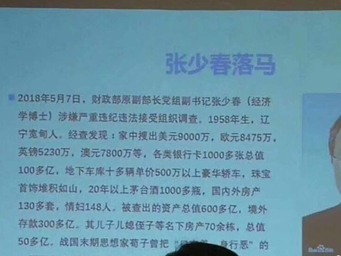 财政部原副部长张少春获刑15年148名情妇成谜