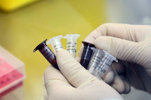 2013年4月3日，一名中国医疗科研人员在北京疾病控制中心（CDC）准备H7N9病毒检测试剂盒。