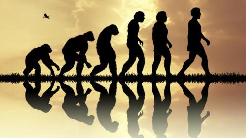 達爾文的《進化論》認爲，人類是由猴子進化過來的。（圖片來源：Adobe Stock）