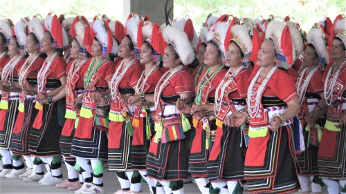 臺灣的阿美族和毛利族女性。