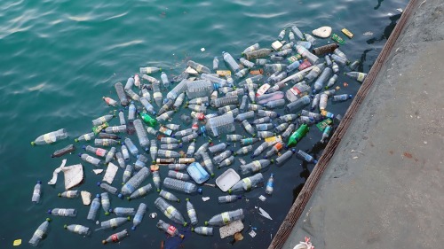 香港及台灣兩地進行的海岸清潔運動中，發現66%收集到的塑膠瓶都印有簡體字