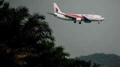 发现马航MH370隐没在柬埔寨密林深处(图)
