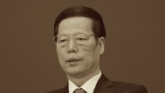 親歷張高麗八人大轎抬江穩坐泰山12年他轟然落馬(組圖)