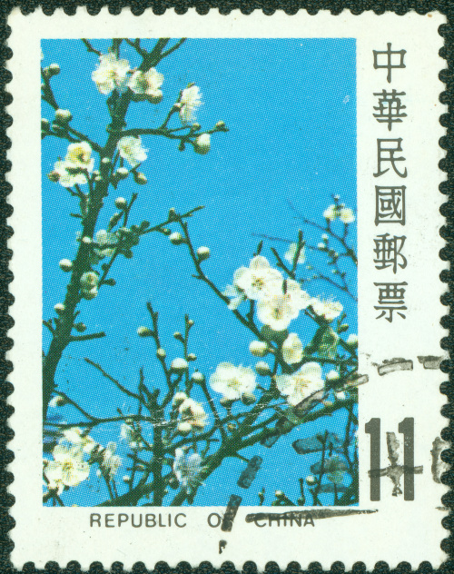 中华民国的国花是梅花。