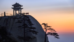 “不知所终”的修道人王烈之事迹(图)