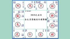 2019生肖运势解密这个人能一战成名(图)