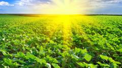 山西奇异老人记得前世是文状元(图)