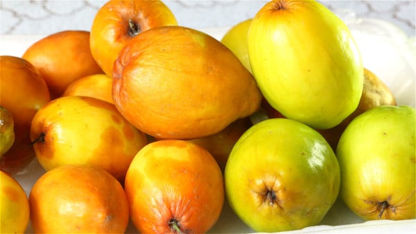 冬棗的營養價值為百果之冠，具有多種保健功效