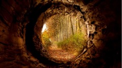 放生蛇反遭蛇咬大伙讥笑他的隔日便无语了(组图)