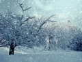 【七絕】雪中行(圖)