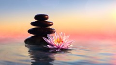 為什麼善良的人一生痛苦磨難多(組圖)
